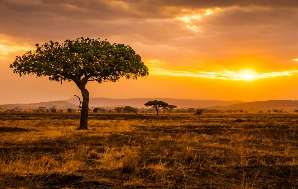 Sunset at Serengeti Park